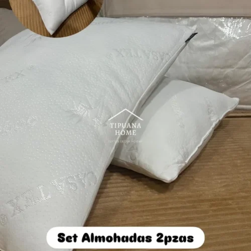 Set 2 Almohadas Casatex
